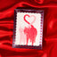 Love Cats Pink Box Set